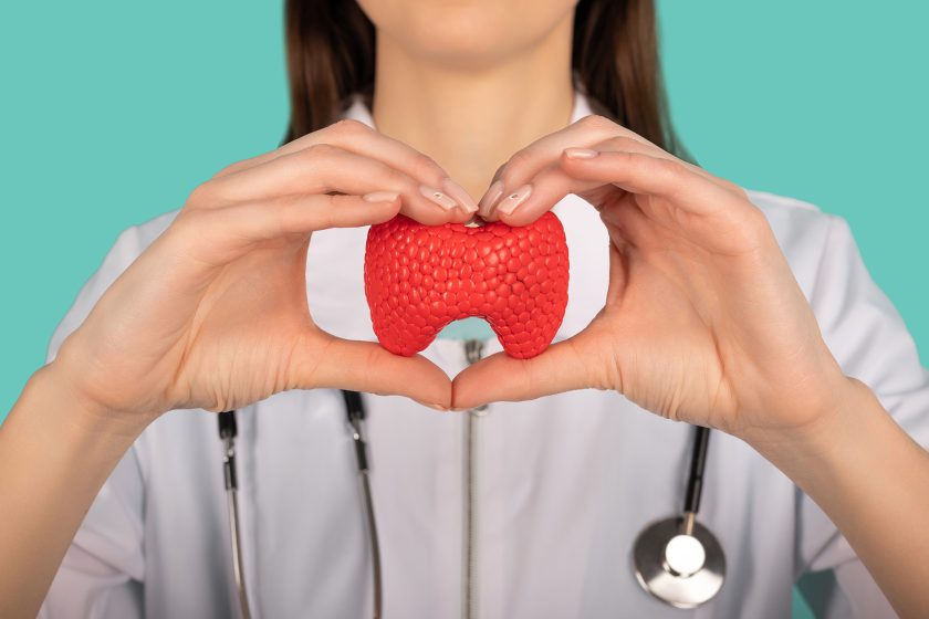 Photo of a female doctor holding a mockup thyroid gland.